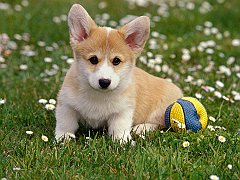 Play Time_